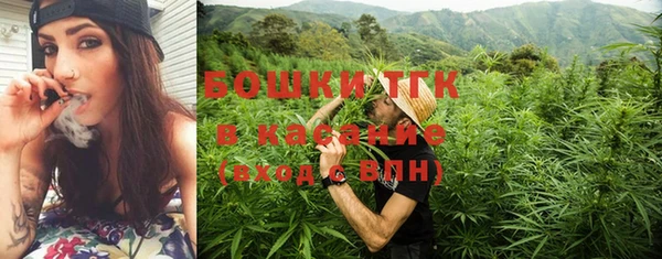 дурь Киреевск