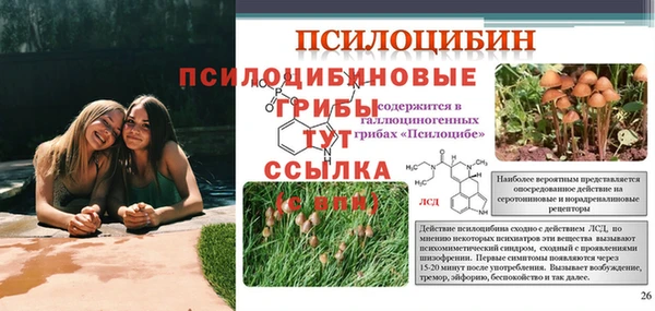дурь Киреевск