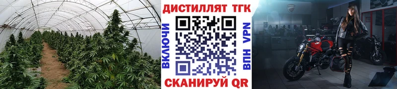 Дистиллят ТГК гашишное масло  Никольское 